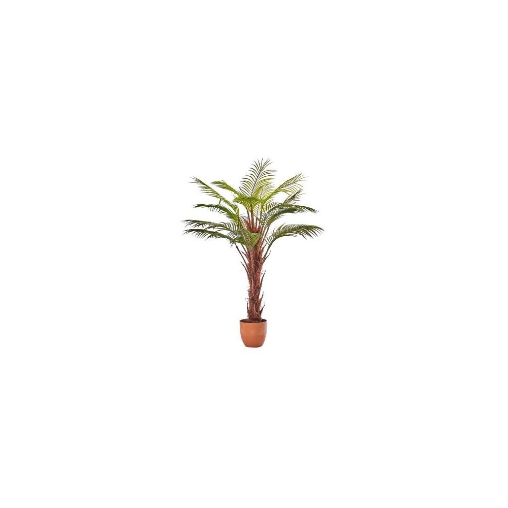PIANTA ARECA X16 100CM